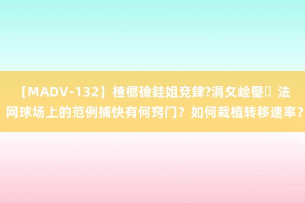 【MADV-132】楂樼礆銈姐兗銉?涓夊崄璺法 网球场上的范例捕快有何窍门？如何栽植转移速率？