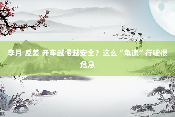 李月 反差 开车越慢越安全？这么“龟速”行驶很危急