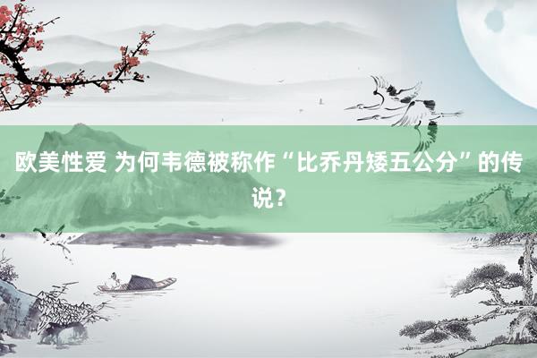 欧美性爱 为何韦德被称作“比乔丹矮五公分”的传说？