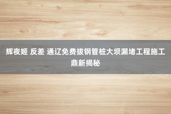 辉夜姬 反差 通辽免费拔钢管桩大坝漏堵工程施工鼎新揭秘