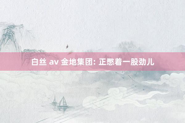 白丝 av 金地集团: 正憋着一股劲儿