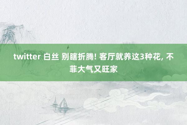 twitter 白丝 别瞎折腾! 客厅就养这3种花, 不菲大气又旺家