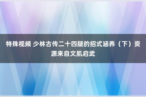 特殊视频 少林古传二十四腿的招式涵养（下）资源来自文肌启武
